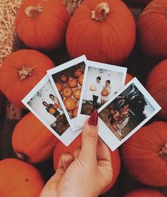 a person holding four polaroid photos in front of pumpkins