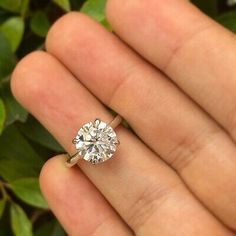 a person's hand holding an engagement ring with a diamond in the middle and green leaves behind it