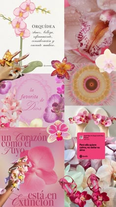 pink and white flowers are in the middle of this collage with words on it