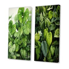 two paintings of green plants with leaves on them