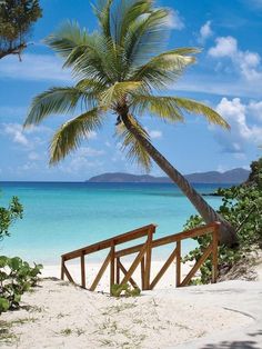 a palm tree leaning over a wooden railing on the beach with blue water in the background