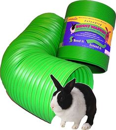 a black and white rabbit is standing next to two green hoses that are stacked on top of each other