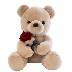 a brown teddy bear with a red rose in its lap sitting against a white background