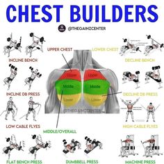 an image of chest building exercises for beginners to do in their home or office