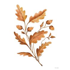 Fall Leaf Stem I Poster Print - Cindy Jacobs-VARPDXCIN3398 Image 1 Fall Wall Print, Murmuration Art, Botanical Journal, Leaves Poster, Thanksgiving Art, Fall Cookies, Art Calendar, Fall Leaf, Art Tattoos