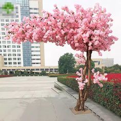 pink flowers are growing on the top of a tall tree in front of a cityscape