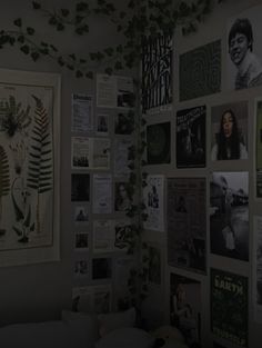 there is a wall covered with posters and plants in the corner, along with pictures on the walls