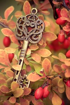 an old key is sitting on top of some red berries and tree branches in the fall