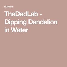 the dadlab - dipping dandelion in water by hb watch book cover