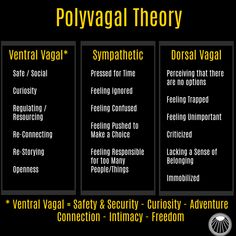 Neuroception – Our Subconscious Ability to Detect Threats, Risks, & Safety — Space Between Counseling Services Buddhism Beliefs, Polyvagal Theory, Feeling Unimportant, Somatic Experiencing, Feeling Ignored, The Vagus Nerve, Staff Meeting, Cranial Nerves