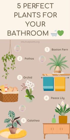 the 5 perfect plants for your bathroom