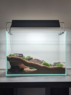 an aquarium with rocks and plants in it on a table next to a lamp that is turned on