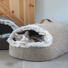 a cat is laying in a bed on the floor next to another cat that's looking at the camera