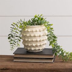 a potted plant sitting on top of a book next to a pile of books