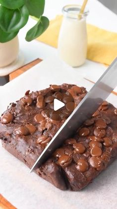 a knife cutting into a brownie on top of a white counter next to a potted plant