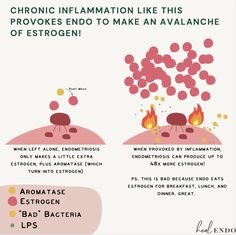 Endo Diet, Gram Negative Bacteria, Airbnb Promotion, Gut Microbiota, Obstetrics And Gynaecology, Pelvic Pain, Autoimmune Disorder, Chronic Inflammation, Chronic Illness