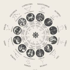 the seven zodiac signs are arranged in a circle