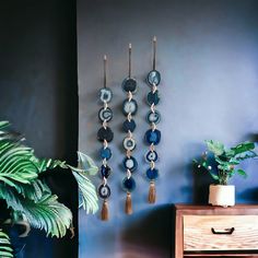 the wall is decorated with blue plates and tassels, along with a potted plant