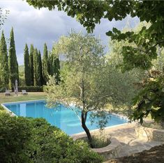 an outdoor swimming pool surrounded by trees and bushes