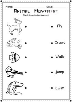 an animal movement worksheet for kids