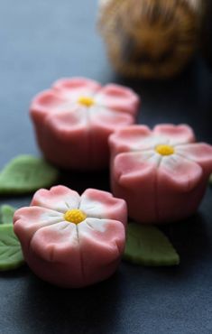 three pink flowers are sitting on green leaves