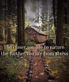 Home In The Forest, Forest Quotes, Nature Quotes Inspirational, Off Grid Homestead, Into The Woods Quotes, Beating Heart, Cabin In The Woods, Cabin Life