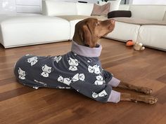 a dog wearing pajamas sitting on the floor in front of a couch with his head sticking out