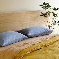 a bed with two pillows on it and a plant in the corner next to it