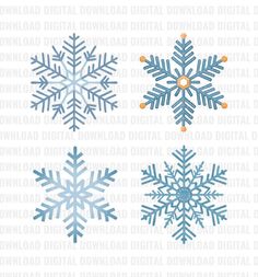 four snowflakes with different shapes and sizes