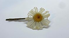 This Resin Dried Real Wildflower Hair Clip has a Pressed daisy preserved and dipped in resin on a sturdy bronze hair pin! The flower is handpicked and dried in the hills of Appalachia right here in Estill County KY. It's perfect for any occasion. Makes a great gift for any nature lover or the gals that like to hike! Wildflower Hair, Bronze Hair, Pin Hair, Flower Resin, Flower Hair Accessories, Natural Gifts, Pressed Flower, Hair Pin, Flower Hair