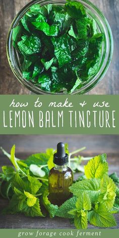 Lemon Grass Tincture, Dandelion Tincture, Lemon Balm Recipes, Herbs Garden, Medicine Chest, Herbal Recipes