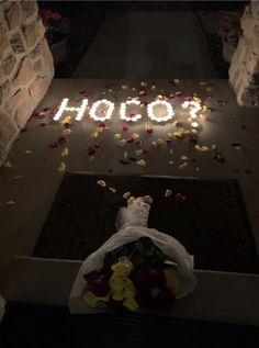 flowers on the ground in front of a sign that says holo