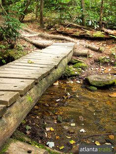 a wooden bridge over a small stream in the woods