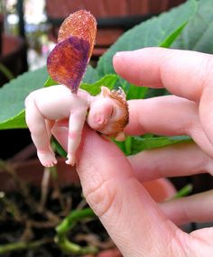 a hand holding a tiny baby doll with a heart on it's finger and a flower in the other hand