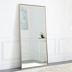 a large mirror sitting on top of a floor next to a white wall with a plant in it