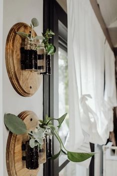 two mason jars with plants in them are hanging on the wall next to a window