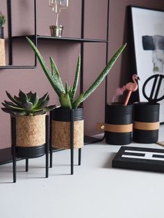 three planters with succulents in them on a table