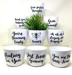 six white bowls with sayings on them sitting next to a potted plant