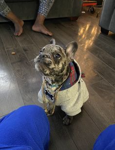 a small dog wearing a sweater and pants standing on the floor next to someone's feet