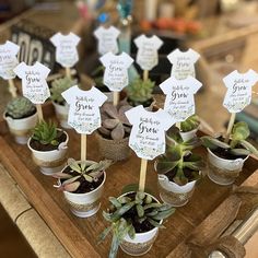 there are many succulents in small pots on the table with name tags