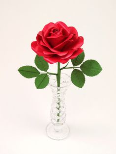 a single red rose in a clear glass vase on a white background with green leaves