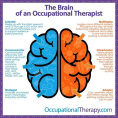 Occupational Therapist Outfits Women, Occupational Therapy Quotes, Occupational Therapist Assistant, Glenn Doman, Occupational Therapy Kids, Occupational Therapy Assistant, Pediatric Occupational Therapy, Therapy Quotes