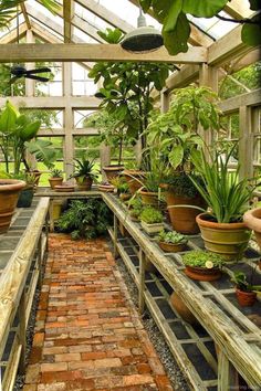 the inside of a greenhouse filled with lots of plants