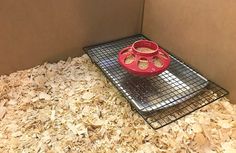 a red bowl sitting on top of a metal shelf filled with wood shavings