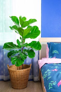 a potted plant sitting next to a bed in a bedroom