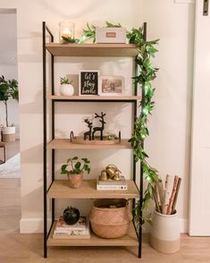 a shelf with plants and books on it in a living room next to a door