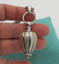 someone is holding a small silver locke in their left hand and it has a chain around the clasp