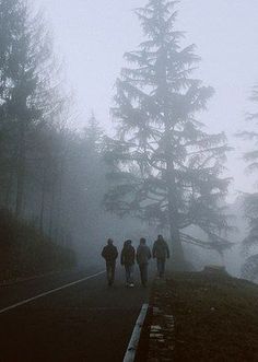 three people are walking in the foggy woods