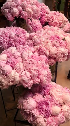 pink flowers are arranged in rows on display