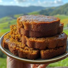 a person holding a plate with some food on it in front of a mountain range